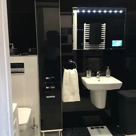 Smart-apt Komfortowe Mieszkanie W Centrum * 卡托维兹